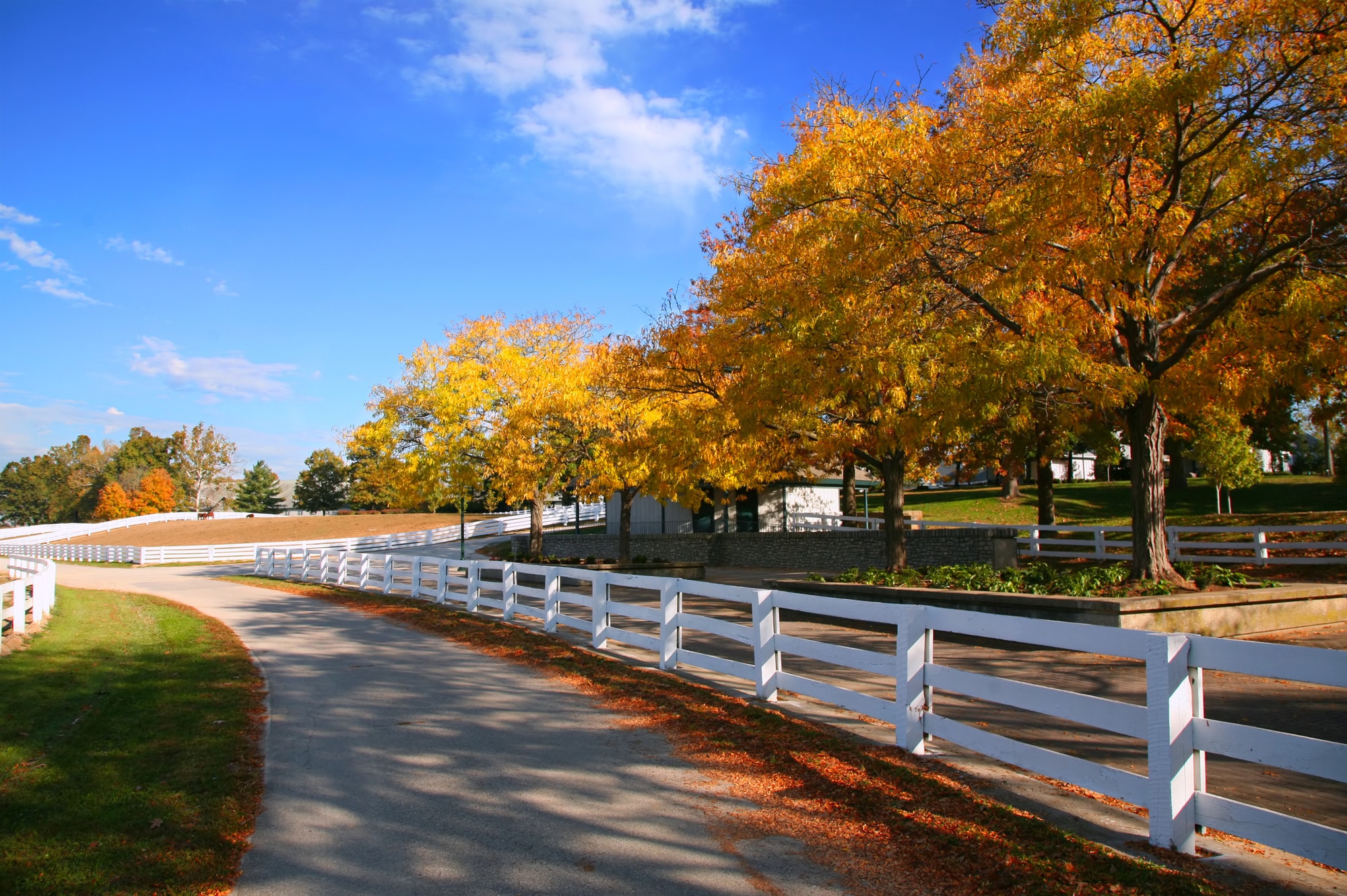 Kentucky Thanksgiving Best Fall Festivals in Lexington Gold Shield Cars