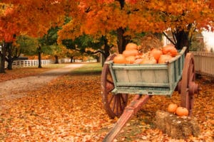 family friends and fall for a kentucky thanksgiving