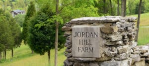 Gold Shield - Jordan Hill Farm